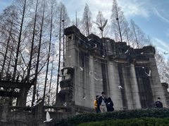 -音乐台