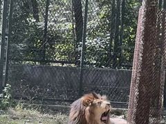 -秦皇岛野生动物园
