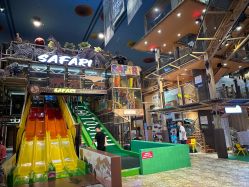 -卡通尼·Safari非洲探索乐园·生日会(金桥国际商业广场店)