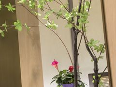 -双东酒店(东关街店)