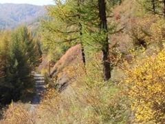 -苏木山森林公园