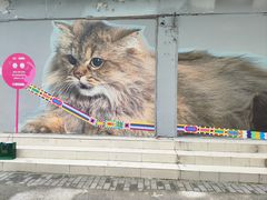 -方浜中路45弄小区