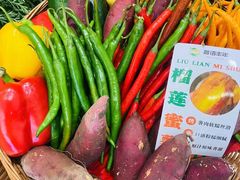 -书湘门地·中国十佳湘菜(西苑店)