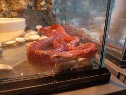 -未来动物城主题公园(正弘城店)