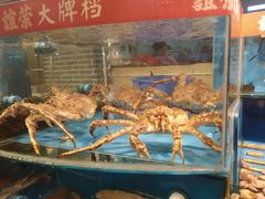水产区-谊荣海鲜大牌档(石湖店)