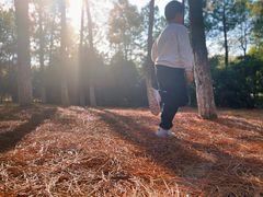 -艾溪湖湿地公园