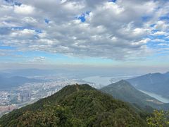 -羚羊峡古栈道森林公园