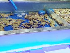 水产区-SEA西雅图海鲜自助餐厅(正义店)