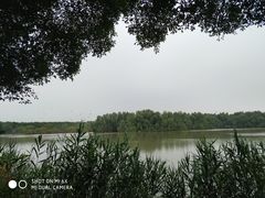 -大湾区中央湿地公园