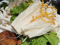 -草原塞蛮羊火锅城(港湾店)