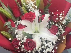 -花鸟鱼虫鲜花绿植市场(玉泉路店)