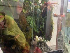 -繁花足道(梅江店)