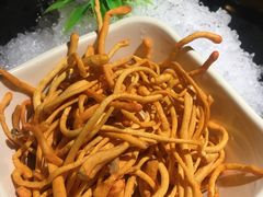 -探窝·竹笙椰子鸡(杨箕店)