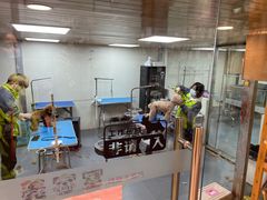 -转角宠物(转塘方家苑店)