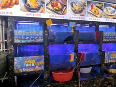 -鑫鸿达·海鲜闽菜热炒小馆(中山路店)