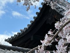 -醍醐寺