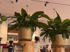 -THE PRESS(复旦大学店)