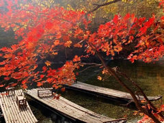 -叠溪松坪沟景区