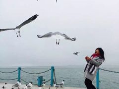 -青海湖国家重点风景名胜区