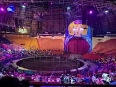 -俄罗斯国家大马戏团