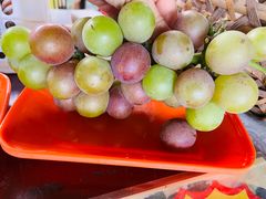 -马陆小张葡萄园农家乐