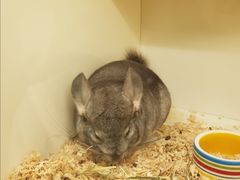 -龙猫仔乐园(惠福东路店)