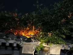 -蓬莱阁景区