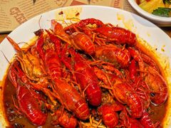 -京B·东篱精酿啤酒音乐餐厅