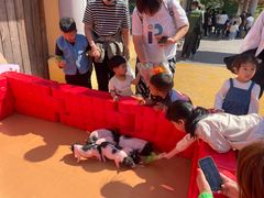 -无锡动物园·太湖欢乐园