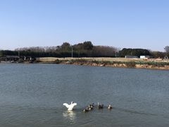 -梁子湖东篱老屋生态庄园