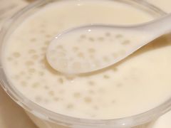 椰汁西米糖水-百花传统甜品店(原址店)