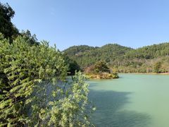 -广州白江湖森林公园