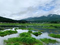 -腾冲北海湿地