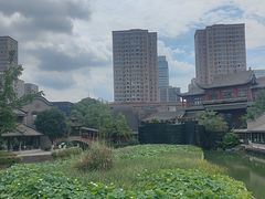 -龙潭水乡
