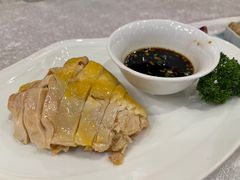 -梅龙镇酒家(南京西路总店)