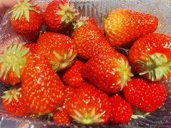 -华盛园卷子王农家菜水库鱼