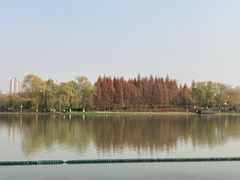 -尚贤河湿地