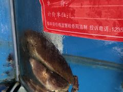 -沿海渔家院海鲜烧烤·东北菜(东戴河店)