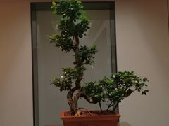 -晟永興烤鸭店(五道口店)