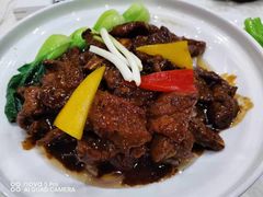 -雅和生态渔庄·宜城锅巴饭(龙灵山公园店)
