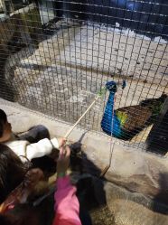 -酷嗒动物文化乐园(cutezoo西溪乐天城店)