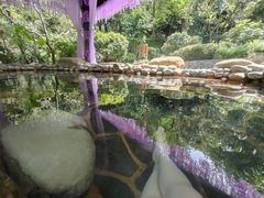 -融汇温泉