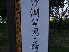 -沙湖公园