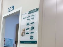 -瑞派康怡24h宠物医院·犬猫医疗中心·微创绝育(瑞景分院)