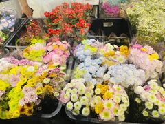 -溪岸路花鸟市场