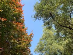 -长春市南湖公园