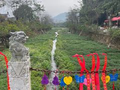 -天适樱花悠乐园