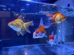 -维吾尔餐厅(宜山路店)