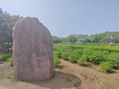 -洛阳市隋唐城遗址植物园