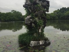 -西湖外事游船(花港观鱼码头)